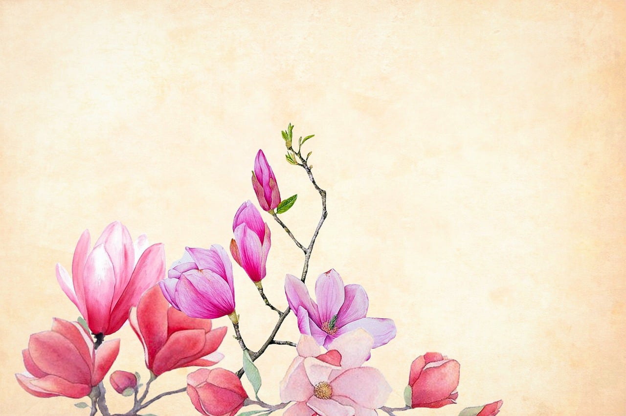 Bobbie, watercolor magnolia study, portfolio preview
